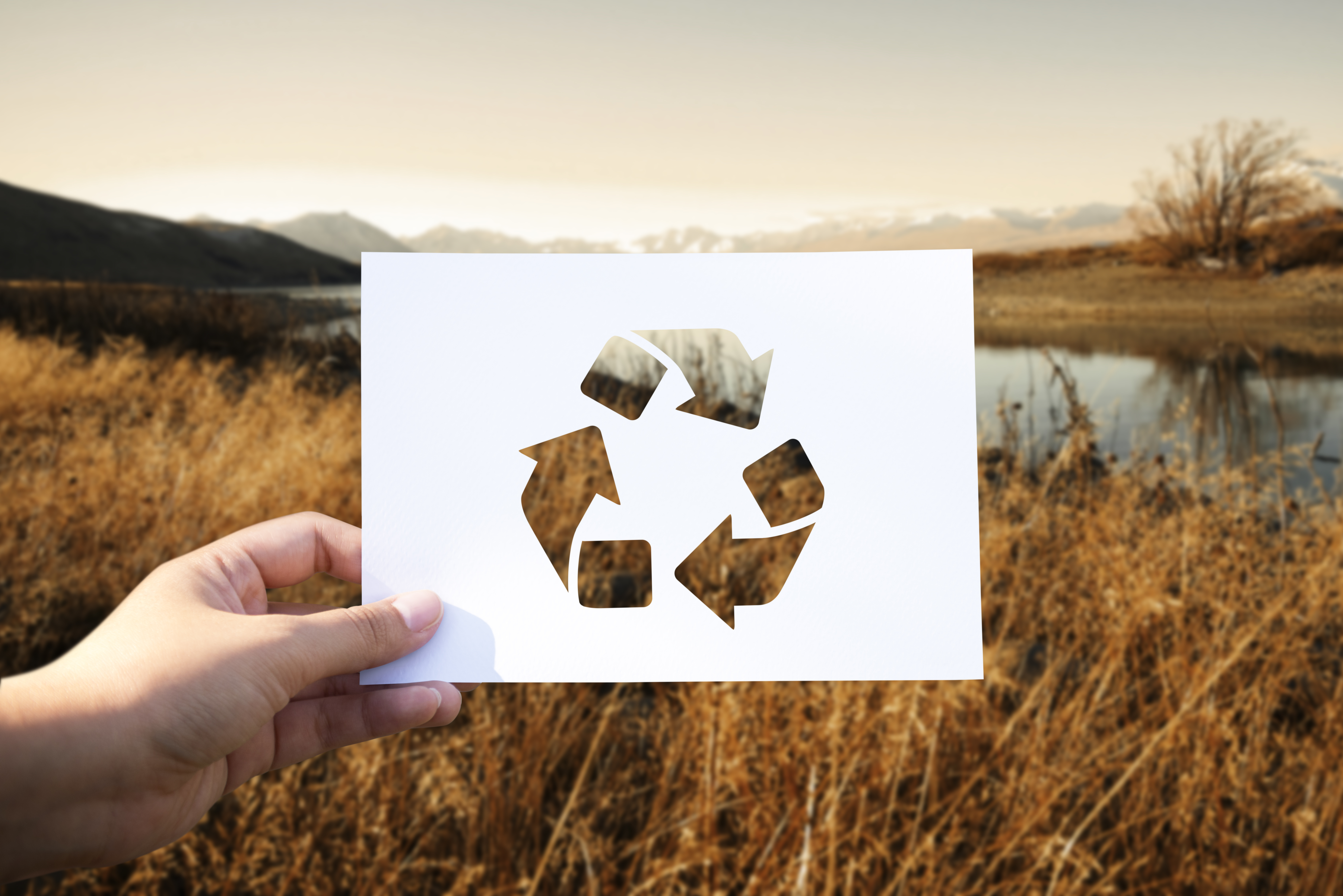 Recycling effort