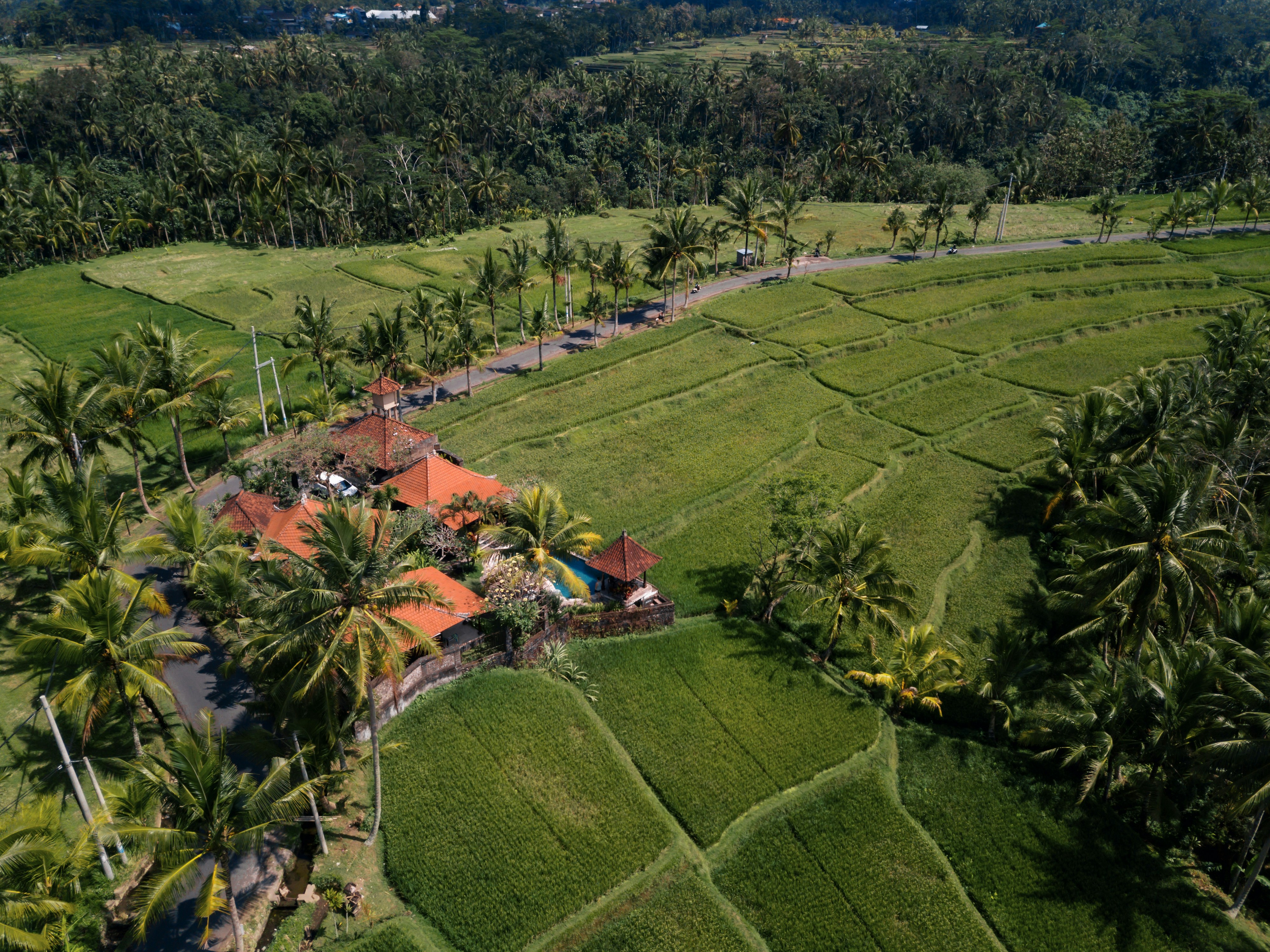 View from villa